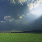 Fotogalerie: Zehn Jahre GEO-Tag der Artenvielfalt - Bild 20