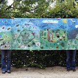 Fotoshow: GEO-Tag 2008 – Schüler für die Artenvielfalt