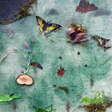 Fotoshow: GEO-Tag 2008 – Schüler für die Artenvielfalt - Bild 3