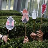 Fotoshow: GEO-Tag 2008 – Schüler für die Artenvielfalt - Bild 4