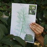 Fotoshow: GEO-Tag 2008 – Schüler für die Artenvielfalt - Bild 5