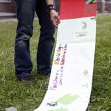 Fotoshow: GEO-Tag 2008 – Schüler für die Artenvielfalt - Bild 7