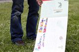 Fotoshow: GEO-Tag 2008 – Schüler für die Artenvielfalt - Bild 7