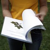 Fotoshow: GEO-Tag 2008 – Schüler für die Artenvielfalt - Bild 9