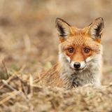 Die besten User-Fotos - September 2008