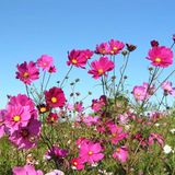 Die besten User-Fotos - September 2008 - Bild 2