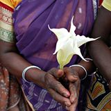 Die besten User-Fotos - September 2008 - Bild 4