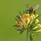 Die besten User-Fotos - September 2008 - Bild 8