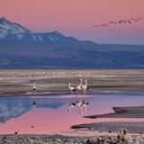 Die besten User-Fotos - September 2008 - Bild 9