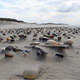 Die besten User-Fotos - September 2008 - Bild 10