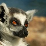 Die besten User-Fotos - September 2008 - Bild 11