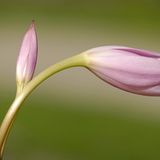 Die besten User-Fotos - September 2008 - Bild 12