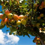 Die besten User-Fotos - September 2008 - Bild 14