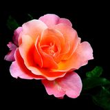 Die besten User-Fotos - September 2008 - Bild 16