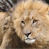 Die besten User-Fotos - September 2008 - Bild 19