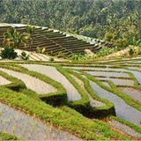 Die besten User-Fotos - September 2008 - Bild 21