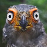 Die besten User-Fotos - September 2008 - Bild 22