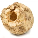 Fotoshow: Gemüseinstrumente - Bild 5