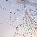 Die besten User-Fotos - Oktober 2008