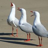 Die besten User-Fotos - Oktober 2008 - Bild 2