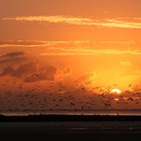 Die besten User-Fotos - Oktober 2008 - Bild 3