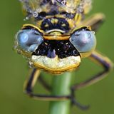 Die besten User-Fotos - Oktober 2008 - Bild 4