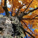 Die besten User-Fotos - Oktober 2008 - Bild 5