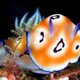 Die besten User-Fotos - Oktober 2008 - Bild 7