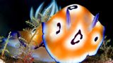 Die besten User-Fotos - Oktober 2008 - Bild 7