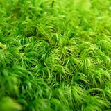 Die besten User-Fotos - Oktober 2008 - Bild 8