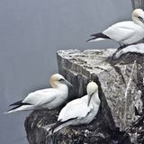 Die besten User-Fotos - Oktober 2008 - Bild 10