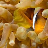 Die besten User-Fotos - Oktober 2008 - Bild 12