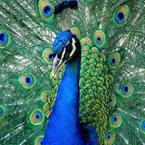 Die besten User-Fotos - Oktober 2008 - Bild 14