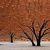 Die besten User-Fotos - Oktober 2008 - Bild 15