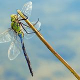 Die besten User-Fotos - Oktober 2008 - Bild 20