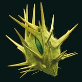 Fotogalerie: Kleine Früchte ganz groß - Bild 4