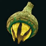 Fotogalerie: Kleine Früchte ganz groß - Bild 7