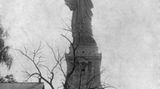 New York: Fotoshow: Metropolenerwachen - Bild 14