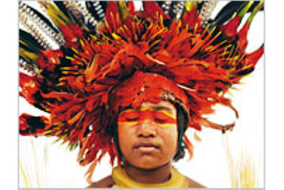 Fotogalerie: Tanzfeste auf Papua-Neuguinea