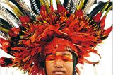 Fotogalerie: Tanzfeste auf Papua-Neuguinea - Bild 2