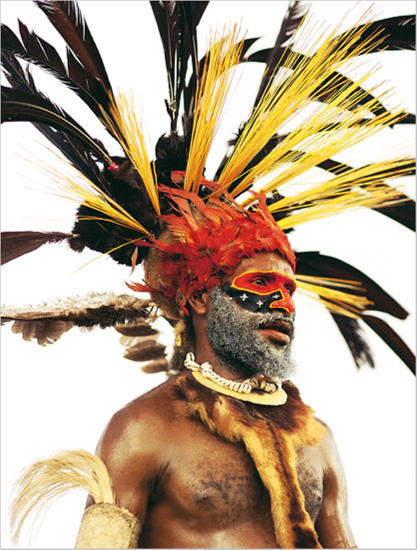 Fotogalerie: Tanzfeste auf Papua-Neuguinea - Bild 7