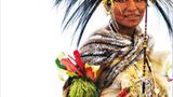 Fotogalerie: Tanzfeste auf Papua-Neuguinea - Bild 8