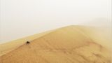 Fotogalerie: Überleben in der Namib - Bild 5