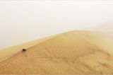 Fotogalerie: Überleben in der Namib - Bild 5