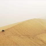 Fotogalerie: Überleben in der Namib - Bild 5
