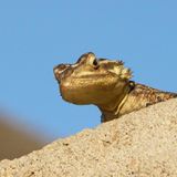 Die besten User-Fotos - November 2008 - Bild 2