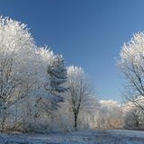 Die besten User-Fotos - November 2008 - Bild 4