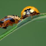 Die besten User-Fotos - November 2008 - Bild 5