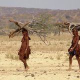 Die besten User-Fotos - November 2008 - Bild 6