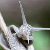 Die besten User-Fotos - November 2008 - Bild 7